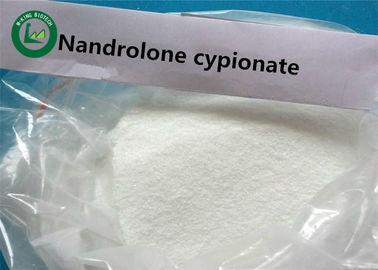 Weißes Pulver roher medizinischer Nandrolone Cypionate für Gewichtsverlust, CAS 601-63-8